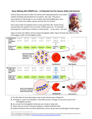 CRISPR 镰状细胞 SH - Serendip Studio